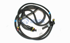 Пучок задних фонарей 