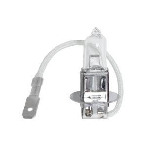 Лампа 24х1,2  (100 шт) ВОСХОД