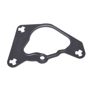 Прокладка вакуумного насоса (ISF2.8) DVMARK