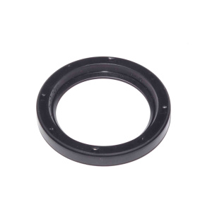 Сальник шаровой опоры 4310 (55х75х10)