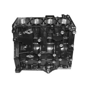 Блок цилиндров FOTON 2.5 (G21)