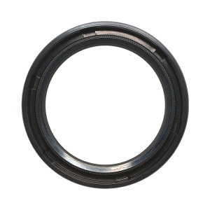 Манжета ТНВД 60х80х10 SKT