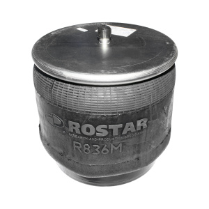 Рессора пневматической подвески (Ростар) 180-2934003-33