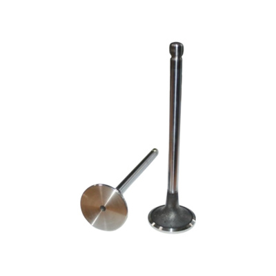 Клапан впускной (ISLe, L) DVMARK 3970727 40897615307875 4981794 