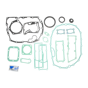 Комплект прокладок 9S1310 с сальниками (ZF 1324298001) (Kacmazlar)