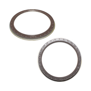 Ремкомплект ступицы Volvo FH12 (сальники) (Sampa)