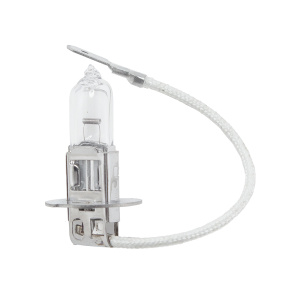 Лампа 24х1,2  (100 шт) ВОСХОД