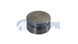 Заглушка головки цилиндров (ПАО КАМАЗ)