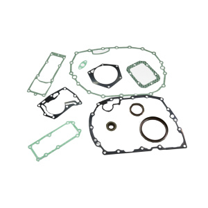 Комплект прокладок 9S1310 (ZF 1324 298 001) (Kacmazlar)