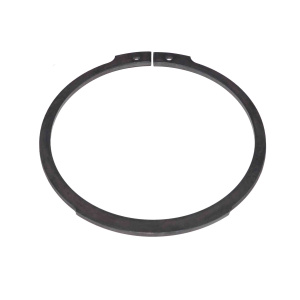 Предохранит.кольцо 125х3,7 ZF