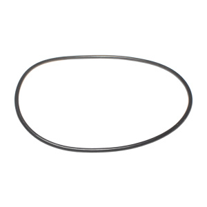 Кольцо уплотнительное (на помпу) БРТ