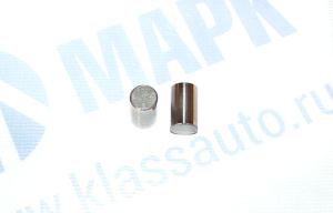 Ролик (ZF 0750 119 116) (Euroricambi)