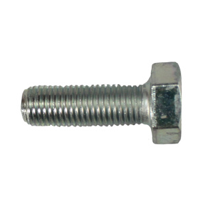 Болт М10х30х1,25 1/13069/21 АО БелЗАН