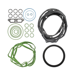 Ремкомплект двигателя 650, 651 (нижний вариант) 5001855172 Аналог