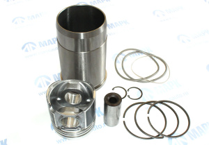 Гильза+поршень (г.Кострома)