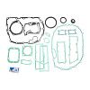 Комплект прокладок 9S1310 с сальниками (ZF 1324298001) (Kacmazlar)