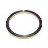 Кольцо ABS (Shaanxi Hande Axle Co., Ltd)