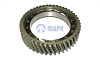 Шестерня ведомая цил-ая 46 зуб. (ПАО КАМАЗ)