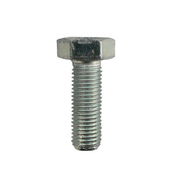 Болт М10х30х1,25 1/13069/21 АО БелЗАН