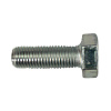 Болт М10х30х1,25 1/13069/21 АО БелЗАН