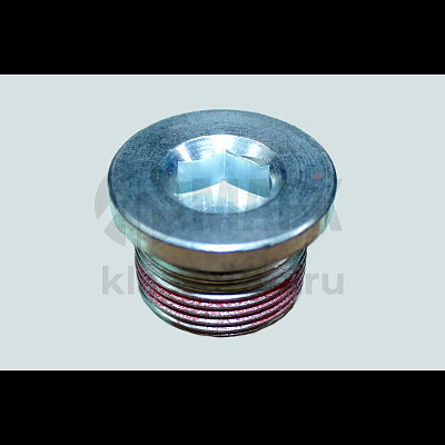 Пробка резьбовая (насос масляный) ISF 3.8 DVMARK