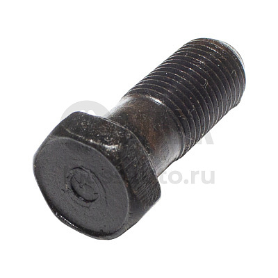Болт крепления маховика Д-243 МТЗ-82 (ММЗ Беларусь)