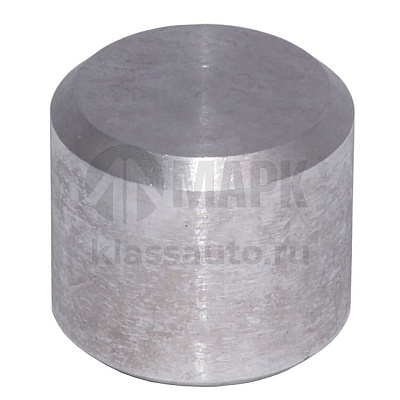 Палец направляющий пластины подрессорный BPW (D=24х22) (TrailerParts)