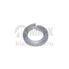 Шайба пружинная (гровер) d-20 АО БелЗАН