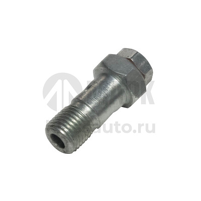 Болт топливный М10х22х1 Кардо (крепления топливных трубок к клапану электромагнитному)