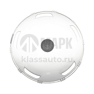 Колпак колеса (ТУРБО) задний,белый R-22.5