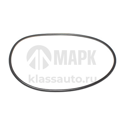 Кольцо уплотнительное (на помпу) БРТ