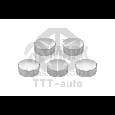 Заглушка металлическая D=40/H=14мм. SB6/7 (5 шт в упаковке) (TTT)