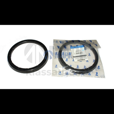 Пыльник балансира (Ростар)