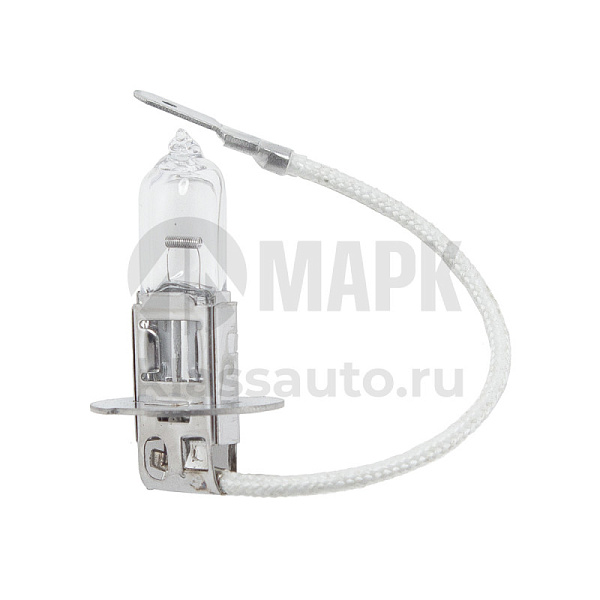 Лампа 24х1,2  (100 шт) ВОСХОД