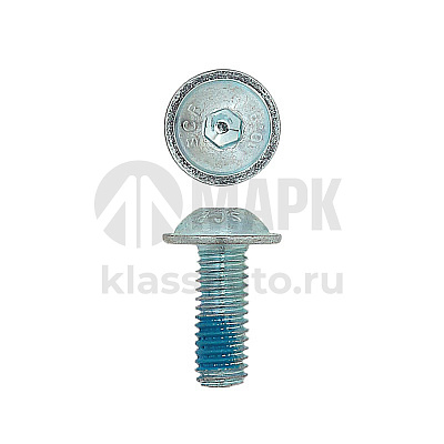 Болт М6x16 DIN 603 Schmitz 1018913 (к роликам 1026011) (SUER)