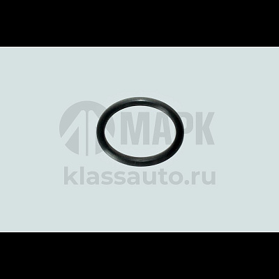 Кольцо уплот. на пробку резьбов. M22  ISBe, ISLe, ISF 3.8 DCEC