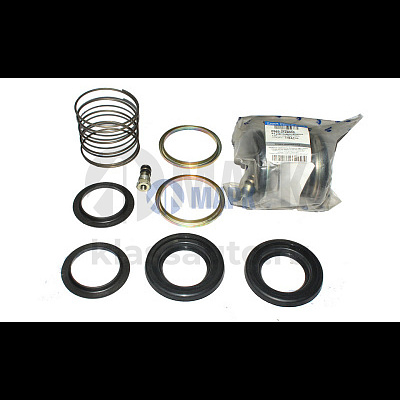 Р/к подкачки колес  КамАЗ 4310-3124010 (Ростар)