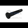 Болт амортизатора М24x3x160 (8.8) (TrailerParts)