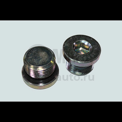Пробка резьбов. с кольцом уплот. M22x1.50x20.1 (система охлаждения) ISBe DCEC