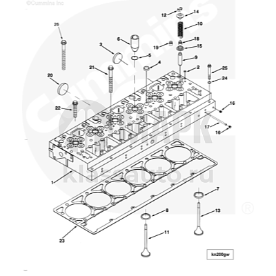 Заглушка ГБЦ для двигателя Cummins ISM 11L  020674100