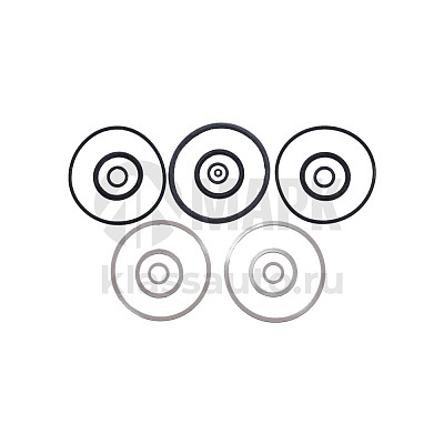 Ремкомплект гидроцилиндра ЦС-100 с/о МТЗ (Витязь)