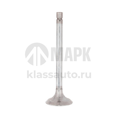 Клапан впускной (240-1007014) Д-243,-245,-260, МТЗ-82 (Челябинский Автомеханический завод)