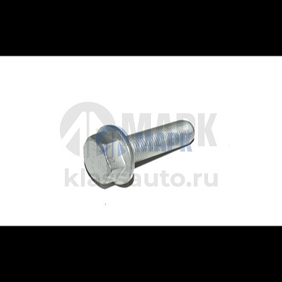 Болт крепления суппорта Schmitz/SAF (M16x1.5х55) (TrailerParts)
