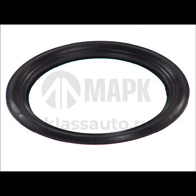 Кольцо уплотнительное ступицы BPW ECO Plus 8-9t (122x160x8.7) пластик (TrailerParts)