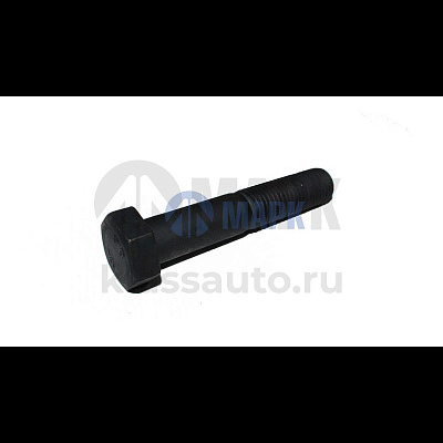 Болт амортизатора М24x3x120 (8.8) (TrailerParts)