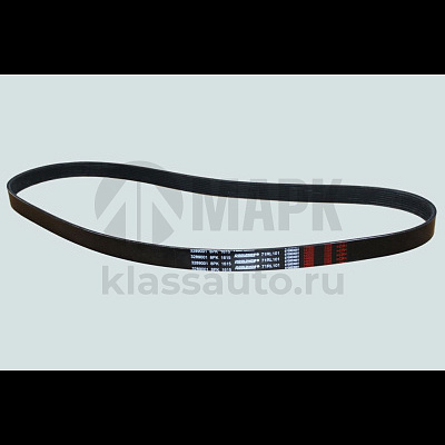 Ремень 8РК1615  (ISBe185, 230, 270)  Roulunds