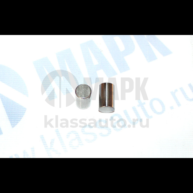 Ролик (ZF 0750 119 116) (Euroricambi)