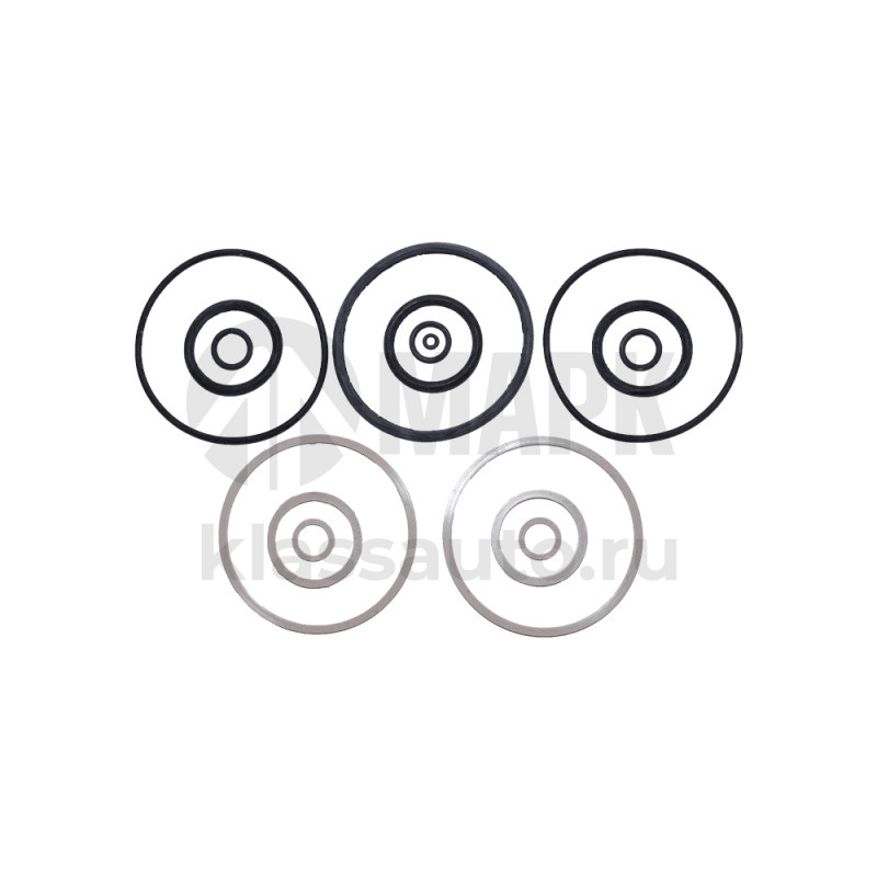 Ремкомплект гидроцилиндра ЦС-100 с/о МТЗ (Витязь)