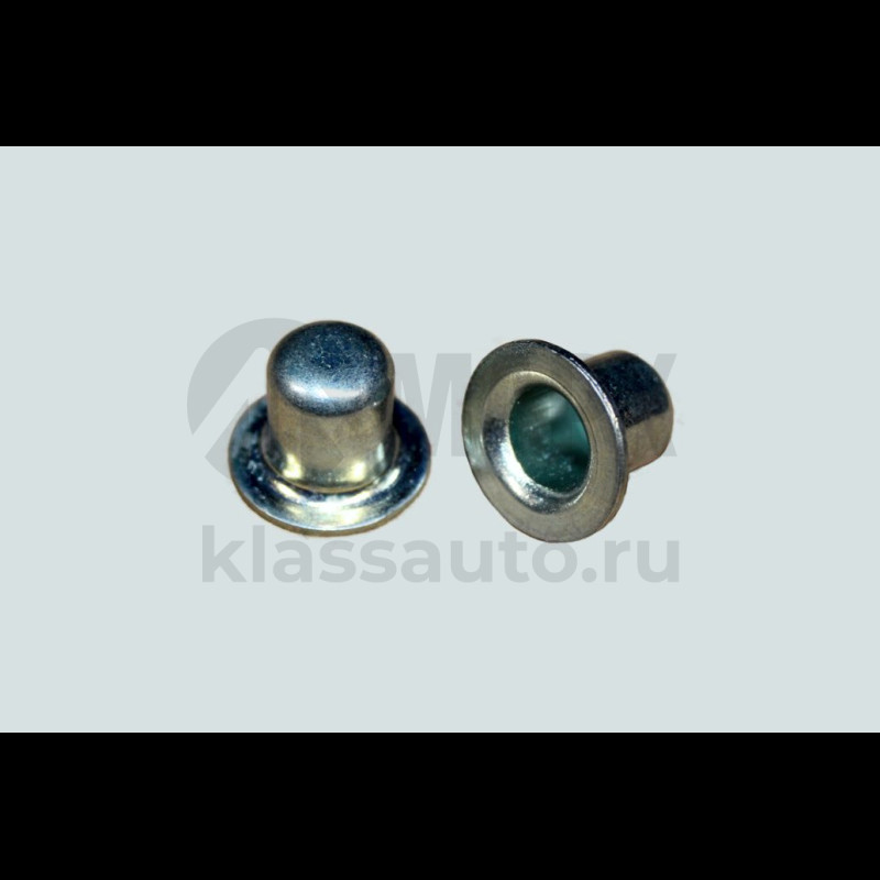 Пробка расширительная (заглушка) ГБЦ (ISBе)  DVMARK