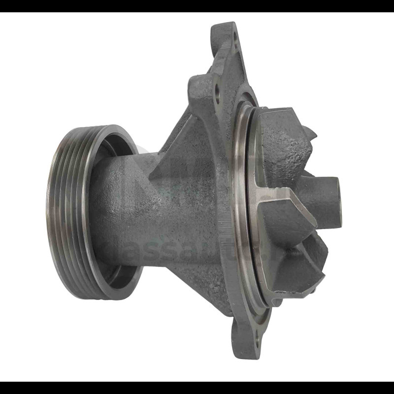 Насос водяной Евро-2 (завод)